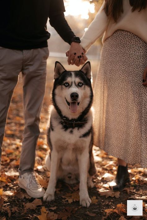 Dog Family Pictures, Family Dog Photos, Dog Family Portraits, Family Pet Photography, Dog Photography Poses, Fall Couple Photos, Shooting Couple, Animal Photoshoot, Photos With Dog