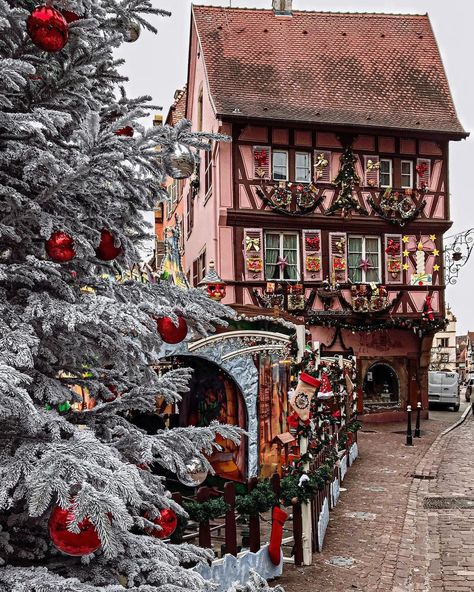 Amsterdam Christmas, Christmas In Europe, Gulliver's Travels, Alsace France, France Photography, France Photos, Jolly Christmas, City Landscape, Christmas Scenes