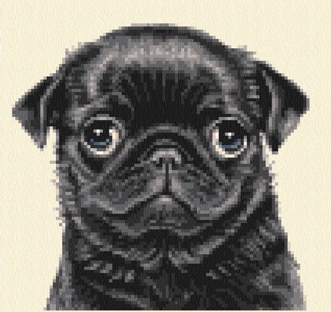 BLACK PUG puppy dog - complete counted cross stitch kit | eBay Black Pug Puppy, Cross Stitch Gifts Ideas, Pug Dog Puppy, Pug Cross, Black Pug Puppies, Pug Dogs, Wedding Blankets, Animal Advocacy, Black Pug