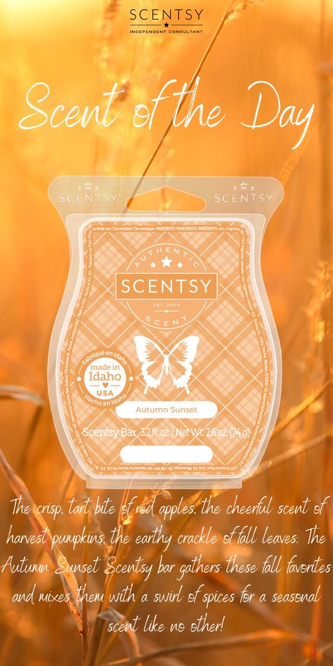 Autumn Sunset Scentsy Bar: The crisp, tart bite of red apples, the cheerful scent of harvest pumpkins, the Earthy crackle of fall leaves. Scentsy Fall, Fall Winter 2023 2024, Scentsy Consultant Ideas, Scentsy Scent, September 1st, Scentsy Consultant, Fall Winter 2024, Winter 2023, Winter 2024