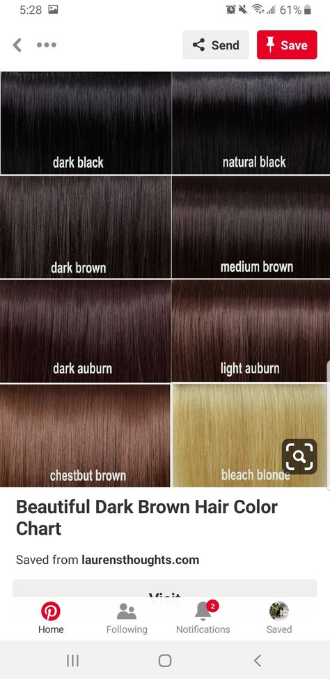 Hair Color For Students, Chocolate Brown Hair Colour, Rich Brunette Hair, Brown Hair Colour, Brown Hair Color Chart, Box Dye, Chocolate Brown Hair Color, Rich Brunette, Light Auburn