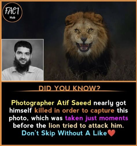 #facts Lion Pic, Mind Blowing Pictures, Psychological Facts Interesting, Biology Facts, Scary Facts, Brain Facts, True Interesting Facts, Interesting Facts About World, Effective Study Tips