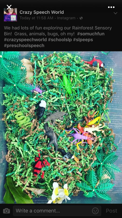 Rainforest sensory bin Rainforest Sensory Bin, Jungle Sensory Bin, Sensory Activities Preschool, Rainforest Preschool, Rainforest Classroom, Speech Therapy Free, Rainforest Crafts, Rainforest Activities, Activities For Speech Therapy