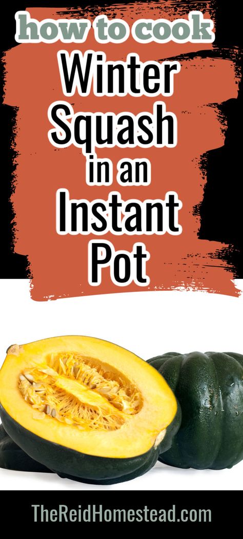 Instant Pot Squash, Squash In Instant Pot, Squash Ideas, Opo Squash, Carnival Squash, Instant Pot Easy, How To Cook Squash, Buttercup Squash, Cranberry Jam