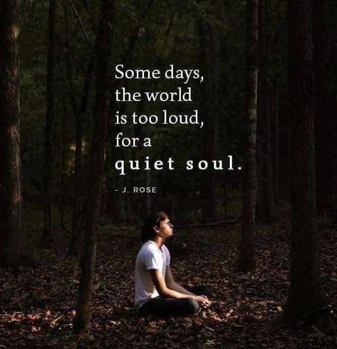 The World Is Too Loud Quotes, Quiet Soul Quotes, Happy Soul Quotes, Good Soul Quotes, Beautiful Soul Quotes, Funny Life Quotes, Quiet Quotes, Soulful Quotes, Happy Quotes Funny