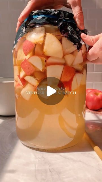 338 likes, 6 comments - thesacredscience on November 11, 2023: "Love this video from @cultured.guru on how to make your own vinegar from apples: Vinegar From Scratch My easy fermented fruit vinegar recipe requires only three ingredients: fruit, sugar and water. This is the perfect recipe to use up fruit scraps and overripe fruit. You can use this recipe to make homemade apple cider vinegar, apple scrap vinegar, berry vinegar, and more! Ingredients: 6 cups of fruit 255 grams of organic cane su Apple Cider Vinegar How To Make, Fruit Vinegar Recipes, How To Make Apple Cider Vinegar, Fruit Scraps, Fermented Fruit, Homemade Apple Cider Vinegar, Fruit Vinegar, Making Apple Cider, Apple Cider Vinegar Recipes