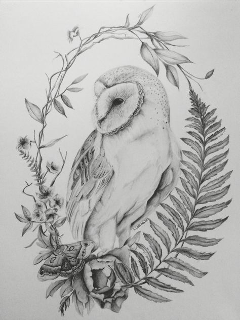 Owl among flowers and ferns. #owl Barn Owl Drawing, Barn Owl Tattoo, Owl Tattoo Drawings, Tre Kunst, Owl Tattoo Design, Owls Drawing, Owl Tattoo, Graphite Drawings, Owl Art