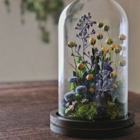 Cloche Decor, Glass Dome Cloche, نباتات منزلية, Flowers In Jars, Dried Flower Wreaths, Diy Jar Crafts, Glass Cloche, Dried Flower Bouquet, How To Preserve Flowers