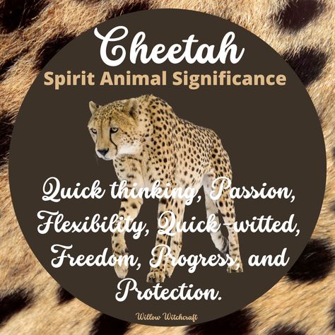 Willow Witchcraft Cheetah Spirit Animal Meaning, Cheetah Symbolism, Cheetah Spirit Animal, Spiritual Animals, Animal Totem Spirit Guides, Spirit Animal Meaning, Healing Tones, Animal Meanings, Witch Board