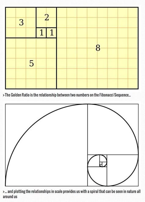 Golden Ratio Graphic Design, Golden Section, Poster Grafico, Fibonacci Sequence, Graphisches Design, Fibonacci Spiral, The Golden Ratio, Art Theory, Design Theory