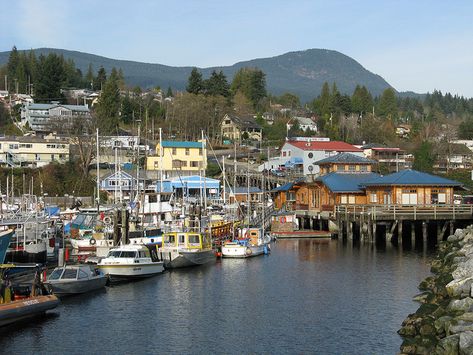 Gibsons BC on the Sunshine Coast . Been here many times, stunning. Gibson Bc, Sechelt Bc, West Coast Canada, British Colombia, Sunshine Coast Bc, West Coast Travel, Trail Walking, North Cyprus, Apple Pies