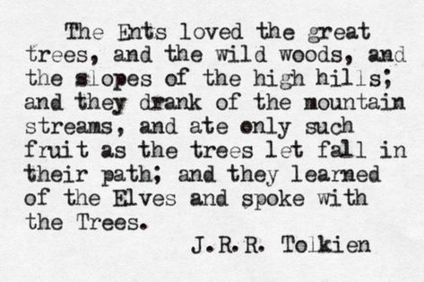 Tolkien Quotes, Into The West, There And Back Again, Fellowship Of The Ring, Jrr Tolkien, J R R Tolkien, The Lord Of The Rings, One Ring, Middle Earth