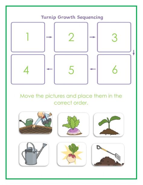 The Enormous Turnip, Sequencing Worksheets, Preschool Age, Water Cycle, School Subjects, Autumn Garden, Earth Science, Online Workouts, Google Classroom