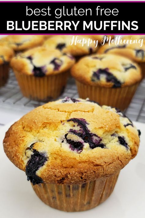 Learn how to make the best Gluten Free Blueberry Muffins in this easy step-by-step recipe. They’re moist, delicious and easy to make! Freeze Muffins, Gluten Free Blueberry Muffins, Easy Blueberry Muffins, Pumpkin Fudge, Muffins Easy, Bakery Style Muffins, Homemade Almond Milk, Gluten Free Recipe, Best Gluten Free