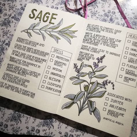 World of Magick on Instagram: “Sage brings good luck and promotes emotional strength. It is associated with wisdom, protection and offers guidance when making decisions 🤔…” Magia Das Ervas, Green Witchcraft, Plant Journal, Spiritual Journals, Grimoire Book, Wiccan Spell Book, Making Decisions, Witchcraft Spell Books, Emotional Strength