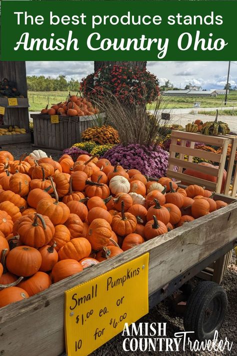 Amish Country Ohio, Holmes County Ohio, Blooming Sunflower, Produce Stand, Bedroom Suites, Apple Varieties, Local Honey, Farm Market, Favorite Pie