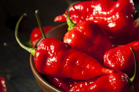 Don't underestimate this pepper as one of the hottest foods in the world. Como Plantar Pitaya, Hot Peppers Plants, Pruning Tomato Plants, Bhut Jolokia, Red Ghost, Hot Pepper Seeds, Hot Sauces, Ghost Peppers, Hot Peppers