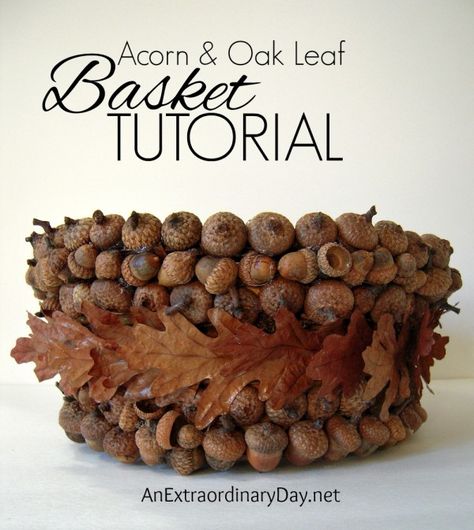 Acorn and Oak Leaf Basket Tutorial What To Do With Acorns, Acorn Diy, Acorn Basket, Acorn Craft, Pinecone Art, Acorn Art, Acorn Painting, Birch Bark Baskets, Acorn Garland