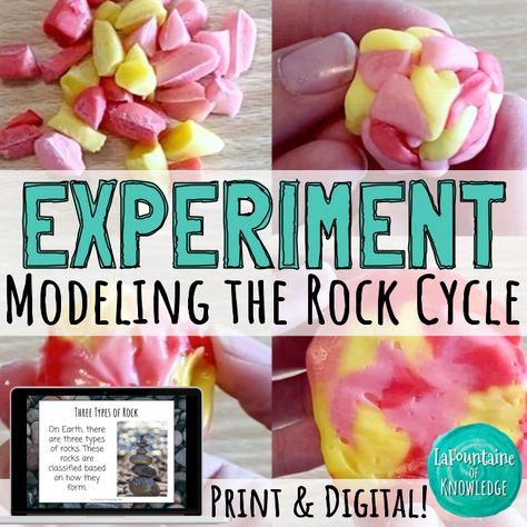 In this hands-on science experiment, students use Starburst candies to model how rocks can change between sedimentary, igneous, and metamorphic in the rock cycle. This resource includes: - teacher directions, discussion questions, and extension activities - 5 pages of background information about the rock cycle - 11 pages of directions that walk students through the activity step by step with photos of each step. - A student record sheet - student response questions - a scoring rubric Starburst Rock Cycle Activity, Rock Cycle Activity, Science Lab Experiments, 4th Grade Multiplication, Weathering And Erosion, Rock Cycle, Area And Perimeter, Science Videos, High School Science