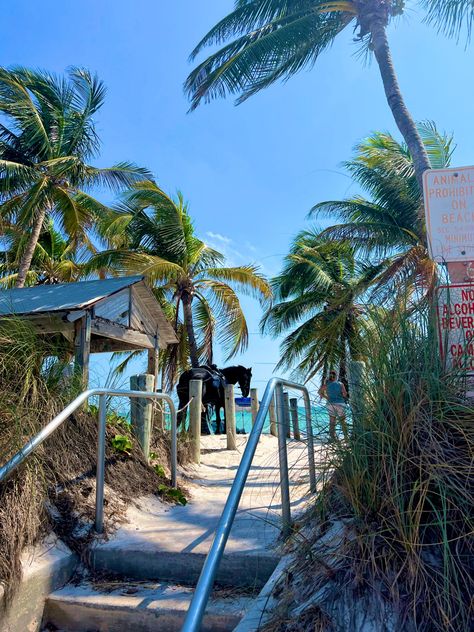 The Keys, Key West, Florida. #keywest #thekeys #beach #horse #sand #palmtree #vacation The Keys Aesthetic, Key West Florida Aesthetic, Key West Summer, Keywest Florida, Key West Hotels, Fun Holidays, Florida Life, Key West Florida, Gap Year