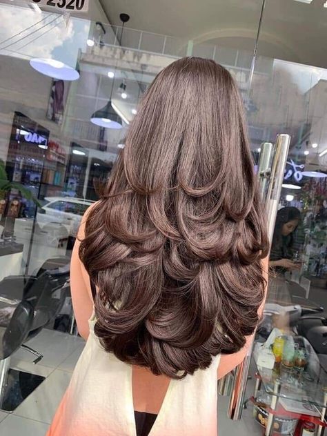 Indian Hair Cuts, Haircuts For Long Hair With Layers, Long Indian Hair, Hairstyles For Layered Hair, Long Layered Haircuts, Haircuts For Medium Hair, Haircuts Straight Hair, Hairdo For Long Hair, Long Layered Hair