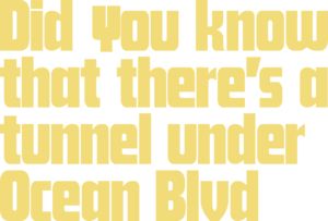 Did You Know There's A Tunnel Under Ocean, Did You Know That There's A Tunnel, Ocean Vector, Ocean Logo, Under Ocean, Ocean Blvd, Music Logo, Poster Collection, Premium Logo