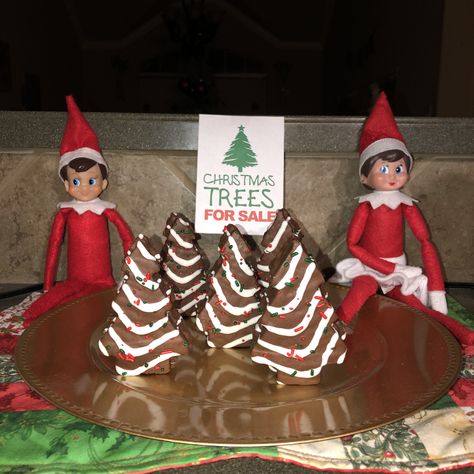 Christmas tree farm, Christmas tree lot, elf on the shelf. Elf Christmas Trees For Sale, Elf Christmas Tree Farm, Elf Tree Farm, Elf On The Shelf Tree Farm, Elf On The Shelf Christmas Tree Farm, Elf On Shelf Christmas Tree, Elf On The Shelf Christmas Tree, Christmas Tree Ideas For Kids, Shelf Christmas Tree