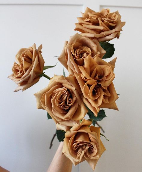 Custom Wedding Flowers For All on Instagram: “Recently used these Toffee roses in a styled shoot and I’m in love! • • • • #bridal #bride #brides #wedding #weddingdress #bridesmaid…” Tan Roses Bouquet, Toffee Roses Wedding Centerpieces, Toffee Flowers, Toffee Rose, Toffee Roses, Rose Centerpieces Wedding, Pampas Bouquet, Broken Rose, Boho Florals