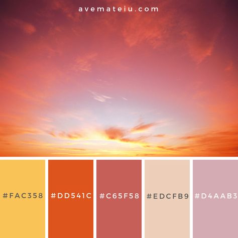 Classic Sunset Color Palette #330 – Ave Mateiu Jet Painting, Sunset Pallet, Sunset Color Palette, Sunset Palette, Sunrise Colors, Sunset Color, Beach Color, Sky Color, Color Palette Design