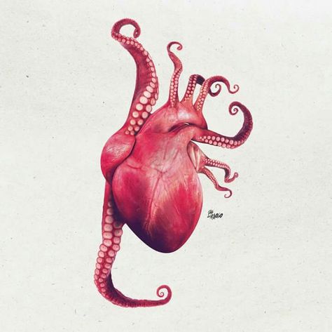 Almost Takotsubo but not quite Octopus Heart, Anatomical Heart Art, Anatomical Heart Tattoo, Octopus Art, Heart Drawing, Medical Illustration, Anatomy Art, Heart Art, Heart Tattoo