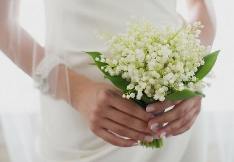 Lily Of The Valley Bouquet, Bridal Bouquet Styles, Veronica Dress, Small Bridal Bouquets, Small Wedding Bouquets, Mira Zwillinger, Anne Barge, Beautiful Wedding Photography, Preowned Wedding Dresses