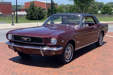 1966 Ford Mustang Coupe (Vintage Burgundy, 289ci V8, 3-speed auto) Mustang 1966, Red Mustang, Ford Mustang Coupe, Vinyl Roofing, Ford Mustang Car, 1966 Ford Mustang, Am Radio, Mustang Convertible, Red Vinyl