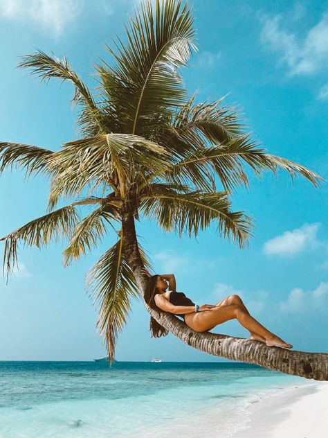 Beach Tree Poses, Palm Tree Poses Beaches, Photo With Palm Tree, Palm Tree Photoshoot Ideas, Palm Tree Pictures Poses, Poses With Palm Trees, Palm Tree Photo Ideas, Palm Tree Picture Ideas, Tropical Vacation Poses