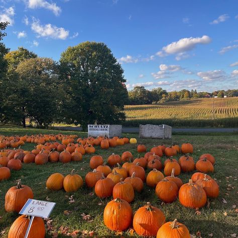 Cider Mill Outfit Fall, Cider Mill Aesthetic, Pumpkin Picking Aesthetic, Autumn Academia, Boston Fall, Autumn Hygge, Mood 2024, Pumpkin Day, Fall Moodboard