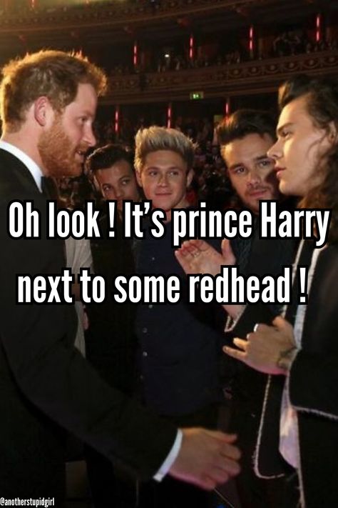 Harry Styles Memes Funny, One Direction Collage, 1d Songs, Percy Jackson Comics, Harry Styles Memes, One Direction Facts, One Direction Lyrics, One Direction Songs, I Love Redheads