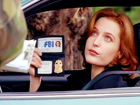 The Bloodhound Gang, Mulder Scully, Dana Scully, Fox Mulder, David Duchovny, Bulk Up, Gillian Anderson, Pink Drinks, Tv Characters