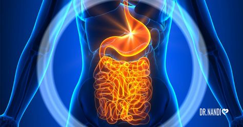 How Your Gut Influences Your Mood - Ask Dr Nandi Stomach Bacteria, Gut Microbiome, Beneficial Bacteria, Disease Prevention, Healthy Gut, Autoimmune Disease, Gut Health, Probiotics, Nutrition