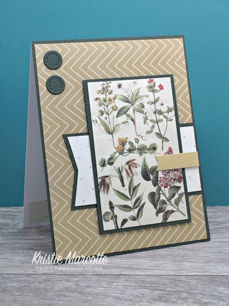 Kristie Marcotte, Card Sketches Templates, Best Things In Life, Paper Birds, Making Greeting Cards, Fancy Fold Cards, Card Patterns, Card Sketches, Fabric Texture