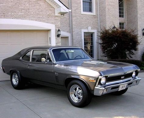 1970 Chevy Nova, Classic Cars Trucks Chevy, 70s Muscle Cars, Old American Cars, Chevy Ss, Hot Rods Cars Muscle, Trucks Chevy, Chevy Muscle Cars, Chevrolet Nova