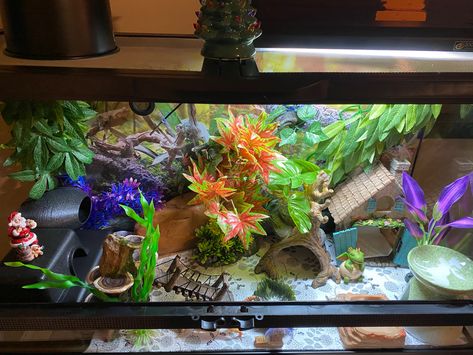 Leopard Gecko Diy, Lizard Cage, Leopard Gecko Tank, Leopard Gecko Habitat, Snake Cages, Gecko Habitat, Bearded Dragon Tank, Reptile Tank, Diy Tank