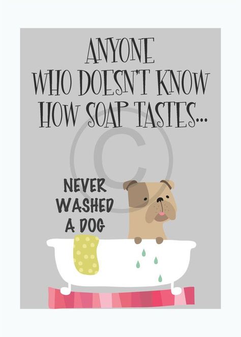 Groomers Quotes. QuotesGram by @quotesgram Grooming Quotes, Dog Grooming Shop, Dog Grooming Salons, Grooming Shop, Dog Quotes Funny, Dog Dental, Grooming Salon, Typographic Print, Art Prints Quotes