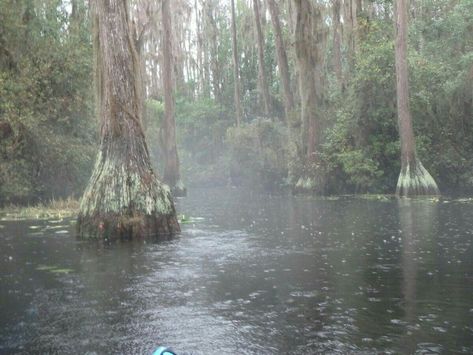 Rain love... Day Rain Aesthetic, Foggy Swamp, Foggy Rain, Swamp Aesthetic, Rainy River, Flower Cottagecore, Rain Love, Tales From The Borderlands, Rain Aesthetic