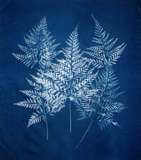 cyanotype fabric | five ferns cyanotype on fabric 16 x 20 Cas Holmes, Cyanotype Process, Sun Prints, Alternative Photography, Eco Printing, How To Dye Fabric, Art Plastique, Fabric Painting, Art Paint