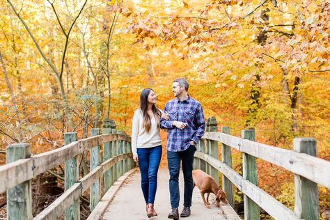 Walking across the bridge with their dog during fall photos at Rock Creek Park | Fall Engagement Photo Locations in DC Rock Creek Park Engagement Photos, Washington Dc Engagement Photos Fall, Couples Bridge Photography, Dc Photoshoot, Engagement Photos Park, Hiking Engagement Photos, Hiking Engagement, Dc Engagement Photos, Modelling Ideas