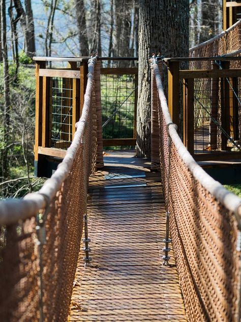 Tree Canopy Walk at Anakeesta in Gatlinburg has over 21 bridges among the treetops to see the world from a bird’s eye view in the trees. Mountains Tennessee, Canopy Glass, Princess Canopy, Smoky Mountains Tennessee, Pigeon Forge Cabin Rentals, Gatlinburg Vacation, Beach Canopy, Observation Tower, Nursery Canopy