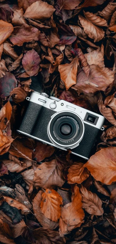 Fall Camera Aesthetic, Old Cameras Aesthetic, Photographer Equipment, Camera Wallpaper, Camera Art, Old Cameras, Candle Packaging, Beautiful Quran Quotes, Photography Camera