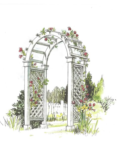 Illustration of rose arbor. Flower Arch Wedding Illustration, Rose Garden Illustration, Rose Garden Drawing, Garden Archway Ideas, Random Objects Aesthetic, Floral Tunnel, Baby Album Design, Arch Illustration, Garden Sketch