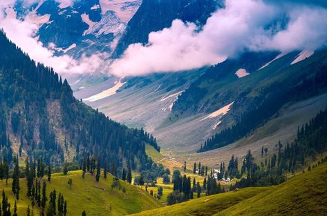 Panoramic landscape with grass and mountains. Scenic view of the mountains, clouds and blue sky. Beautiful meadows on the trails of Kashmir Great Lake Kashmir Landscape, Cold Places, Kashmir Tour, Panoramic Landscape, Scenic View, Jaisalmer, Srinagar, Shimla, Rishikesh