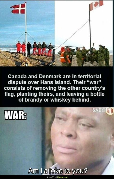 Wojskowy Humor, Historical Humor, History Jokes, Best Funny Photos, History Humor, Pahlawan Super, Magnum Opus, Funny Humor, Really Funny Memes