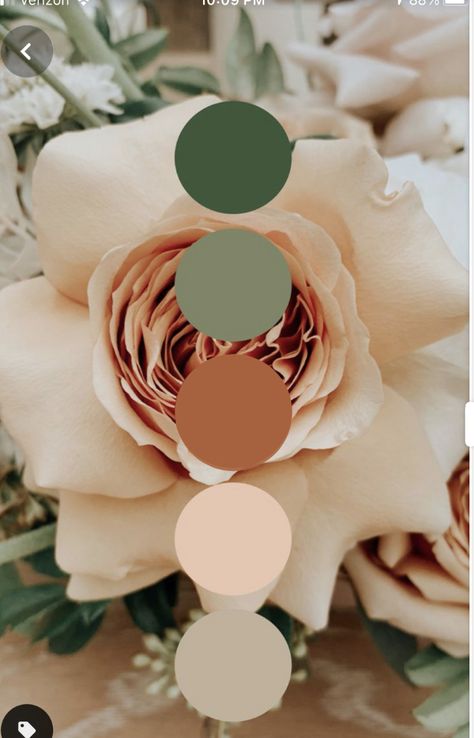 White Beige Gold Color Palette, Pastel Color Scheme Colour Palettes, Desert Spring Wedding, Boho Wedding Color Schemes Summer, Desert Coral Wedding Color Scheme, Arizona Wedding Colors, Desert Pink Color Palette, Hacienda Wedding Color Palette, Floral Color Palette Colour Schemes